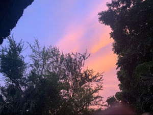 Meet your Posher, Eddie